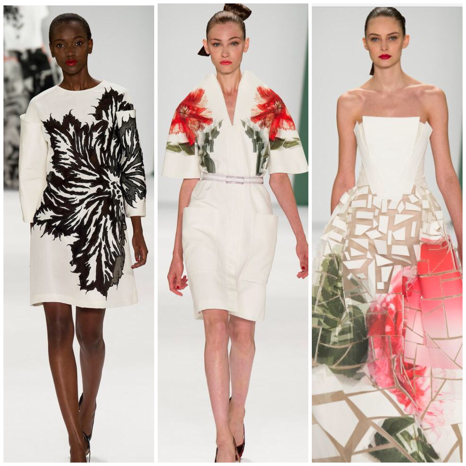 New York Fashion Week Spring 2015 highlights. – Donny Galella